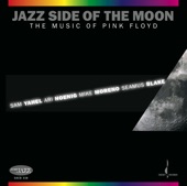 Jazz Side of the Moon : The Music of Pink Floyd