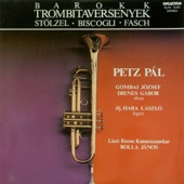 Versenymű, D-dúr - trombitára és vonószenekarra - Allegro artwork