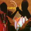 A Round Radius - The Best of Radius album lyrics, reviews, download