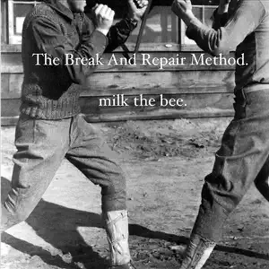 The Break and Repair Method