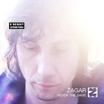 Never the Same (Remixes) - Zagar