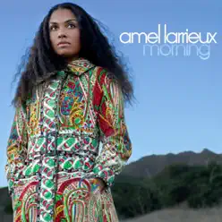 Morning - Amel Larrieux