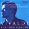 The 4 Seasons: Violin Concerto In F Minor, Op. 8, No. 4, RV 297, "L'inverno" (Winter): I. Allegro Non Molto artwork