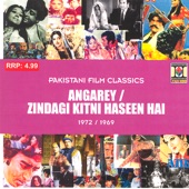 Zindagi Kitni Haseen Hai artwork