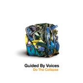 Guided By Voices - Surgical Focus