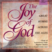 The Joy of God artwork