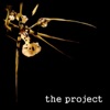 The Project, 2005