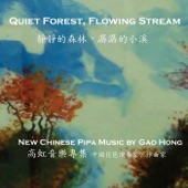 Gao Hong - Flying Dragon Concerto