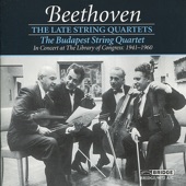 Quartet No. 13 in B-Flat Major, Op. 130: V. Cavatina. Adagio molto espressivo artwork