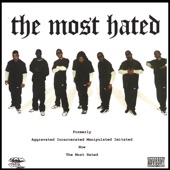 The Most Hated artwork