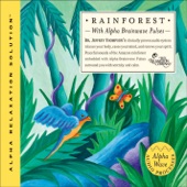 Rain Forest artwork