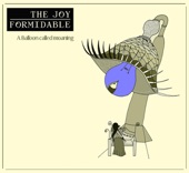 The Joy Formidable - Austere