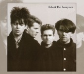 Echo & the Bunnymen (Expanded Version) artwork