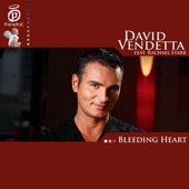 Bleeding Heart (Vocal Mix) artwork