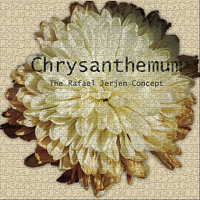 The Rafael Jerjen Concept - Chrysanthemum artwork