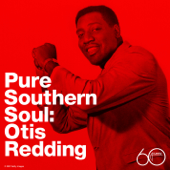 Pure Southern Soul cover