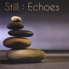 Still: Echoes - the Echoes Living Room Concerts Volume 15