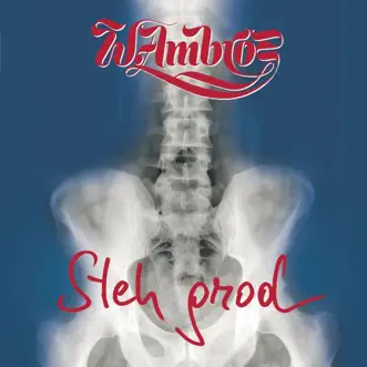 Steh grod by Wolfgang Ambros album reviews, ratings, credits