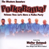 PolkaRama Volume Two: Let's Have a Polka Party artwork