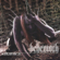 Decade of Therion - Behemoth