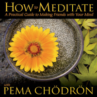 Pema Chödrön - How to Meditate with Pema Chodron artwork