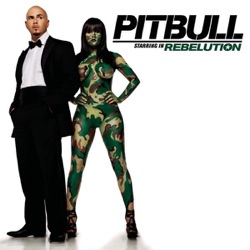 Enrique Iglesias & Pitbull - Shut It Down (feat. Akon)