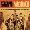 We're Gonna Change the World (The 60's Chicago Garage Sound of Quill Records), 2009