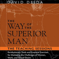 David Deida - The Way of the Superior Man: The Teaching Sessions artwork