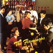 The Flamingos - Mio Amore
