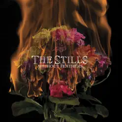 Without Feathers - The Stills