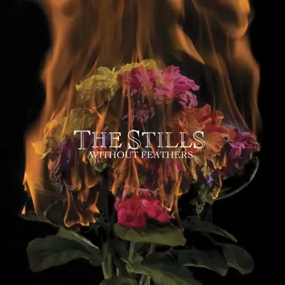 Without Feathers - The Stills Without Feathers - The Stills