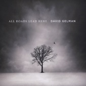 David Gelman - Losing you