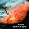 Insanity In The City - Single