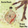 Brown Paper Bag