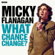 Micky Flanagan - Micky Flanagan: What Chance Change? (Complete Series)