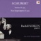 Sonata in A Major for Piano, Op. Posth. (D. 959): II. Andantino artwork
