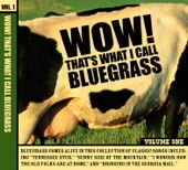 Wow! That's What I Call Bluegrass Vol. 1, 2005