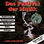 Festival der Musik