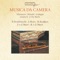 Quartet in F major: II. Allegro non tanto artwork