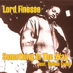 Something In the Way (You Make Me Feel) - EP - Lord Finesse Something In the Way (You Make Me Feel) - EP - Lord Finesse