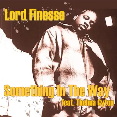 Something In the Way (You Make Me Feel) - EP - Lord Finesse