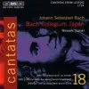Bach: Cantatas, Vol. 18 album lyrics, reviews, download