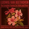 Sonata for Violin and Piano No. 9 in A Major, Op. 47 ('Kreutzer Sonata'): II. Andante con Variazioni