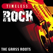 Timeless Rock: The Grass Roots artwork