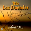 Sabra Dios, 2008