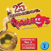 25 Bandazos de Pequeños Músical artwork