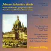 Bach, J.S.: Preise Dein Glucke, Gesegnetes Sachsen - Sinfonias from Cantatas - Bwv 21, 75, 182, 1040 artwork