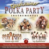 Oberkrainer Polka Party Instrumental, Folge 1