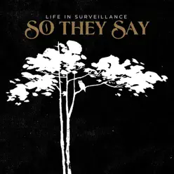 Life In Surveillance - So They Say