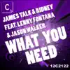 Stream & download What You Need (feat. Lenny Fontana & Jason Walker) - EP